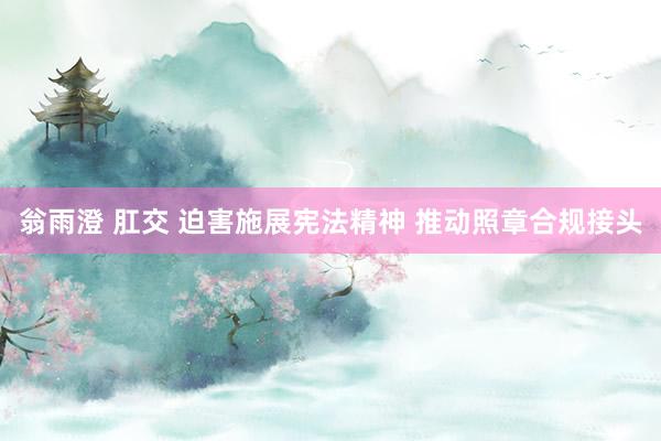 翁雨澄 肛交 迫害施展宪法精神 推动照章合规接头