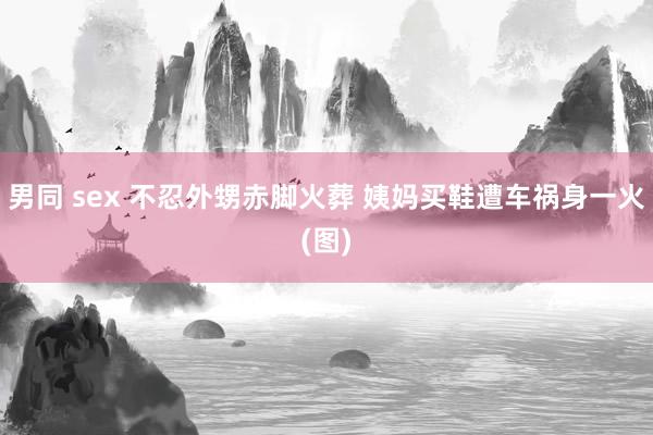 男同 sex 不忍外甥赤脚火葬 姨妈买鞋遭车祸身一火(图)