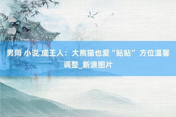 男同 小说 成王人:大熊猫也爱“贴贴” 方位温馨调整_新浪图片