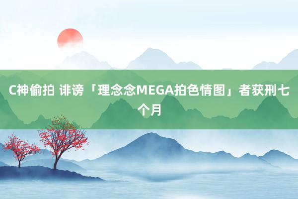 C神偷拍 诽谤「理念念MEGA拍色情图」者获刑七个月