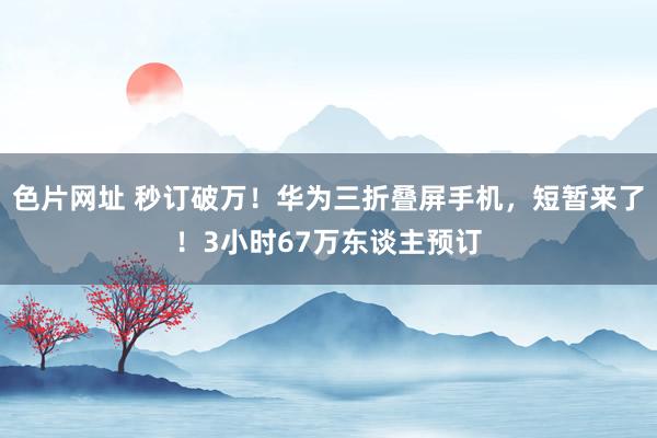 色片网址 秒订破万！华为三折叠屏手机，短暂来了！3小时67万东谈主预订