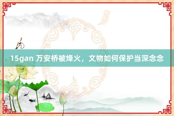 15gan 万安桥被烽火，文物如何保护当深念念