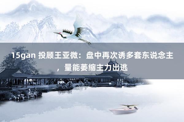 15gan 投顾王亚微：盘中再次诱多套东说念主，量能萎缩主力出逃