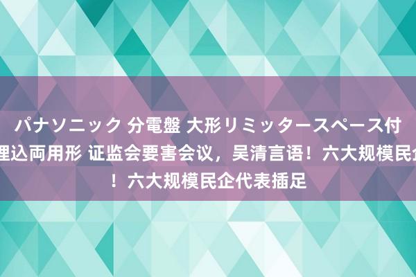 パナソニック 分電盤 大形リミッタースペース付 露出・半埋込両用形 证监会要害会议，吴清言语！六大规模民企代表插足